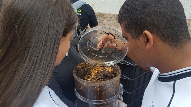 Foto: Arquivo/Escola